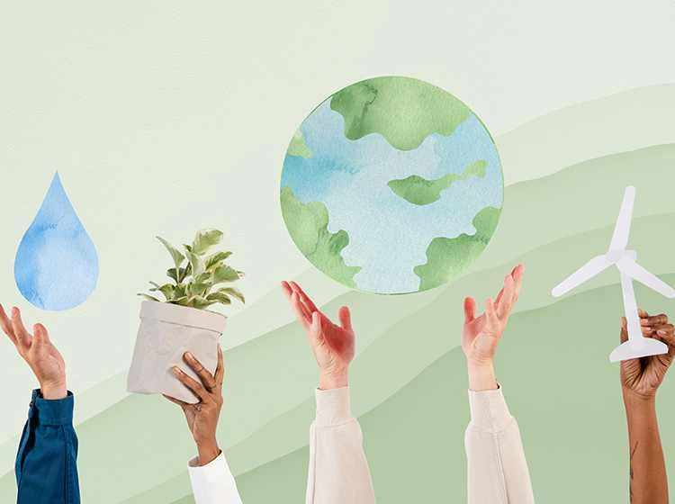 How Savvy Firms Are Successfully Managing Variable Sustainability Ratings, Rankings, and Reports